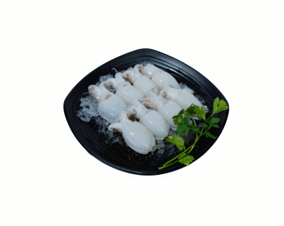 FROZEN WHOLE CLEAN BABY CUTTLEFISH