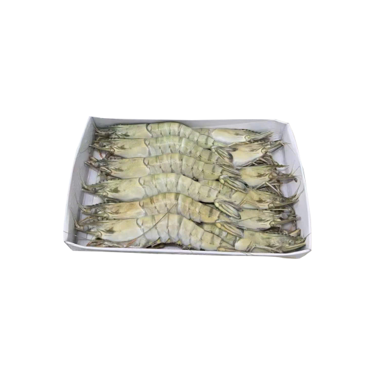 FROZEN TIGER BLACK SHRIMP